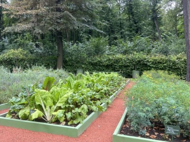 Современные огороды: как сделать свой участок стильным и функциональным