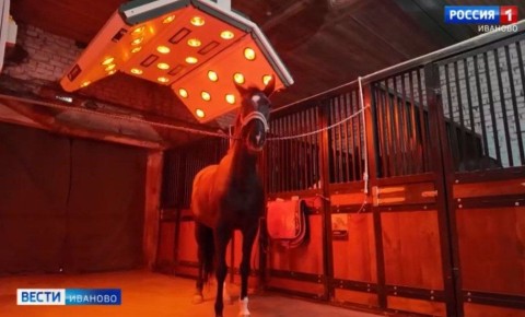 В детско-юношеской спортивной школе № 11 в Иванове появилось новое оборудование