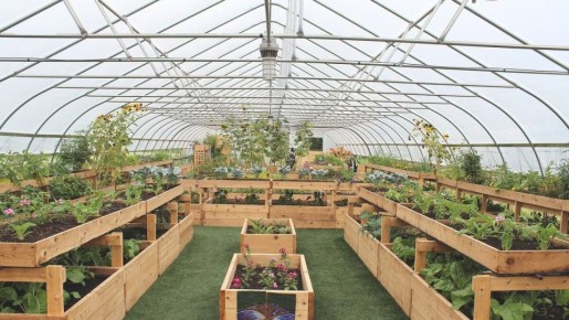 Гумат калия: секреты повышения урожайности и здоровья растений