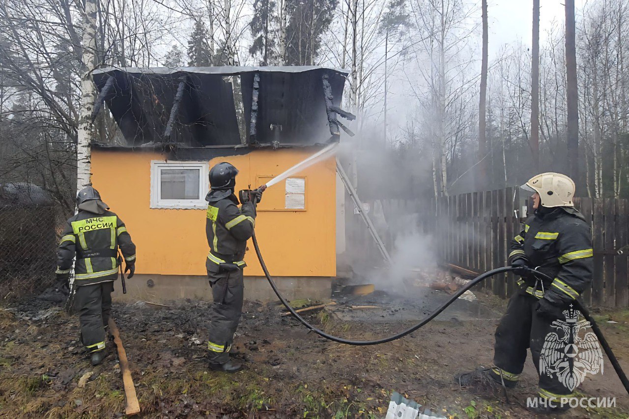За минувшие сутки пожарно- спасательные подразделения: За минувшие сутки пожарно- спасательные подразделения: