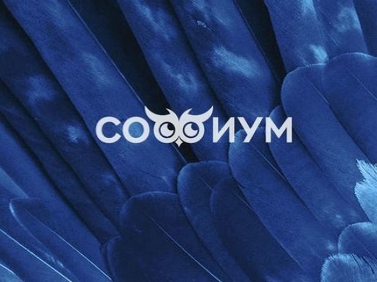 Завершился первый тур регионального этапа Всероссийской олимпиады школьников по вопросам избирательного права и избирательного процесса («Софиум»)