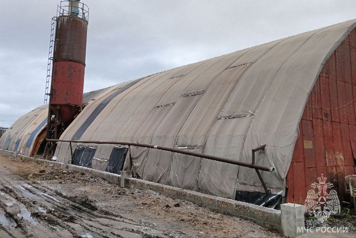 За минувшие сутки пожарно- спасательные подразделения: За минувшие сутки пожарно- спасательные подразделения: