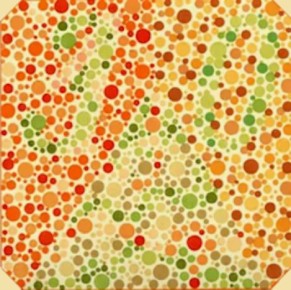 С нового года водители должны будут учитывать новые нормы по зрению