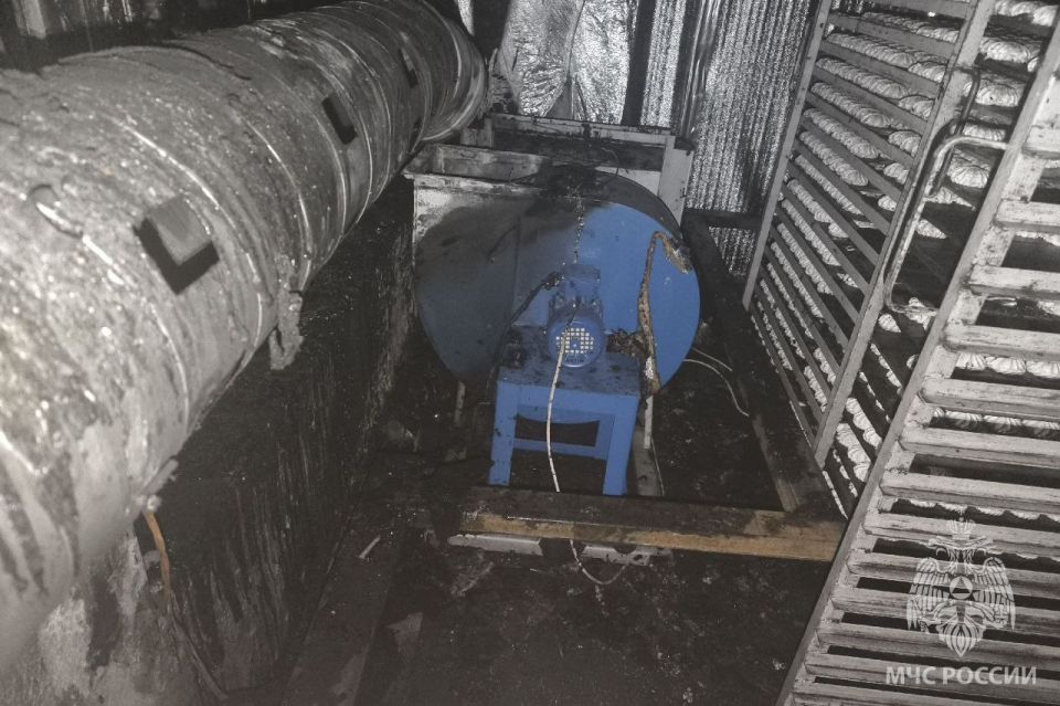 За минувшие сутки пожарно- спасательные подразделения: За минувшие сутки пожарно- спасательные подразделения: