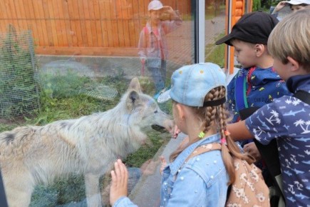 Более 10 тысяч ивановцев посетили зоопарк бесплатно в этом году