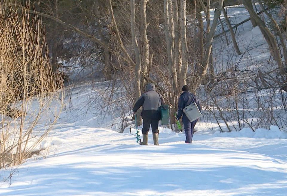 ��������� ������������ ������� ���������� ������� �� ��������� ������� ����