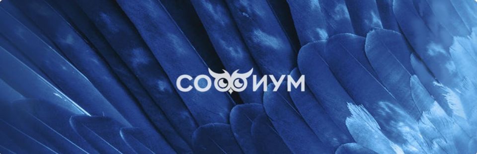 ������� ���������� �� ���������� ������� ������� ������� �� ������ ���� ������������� �����