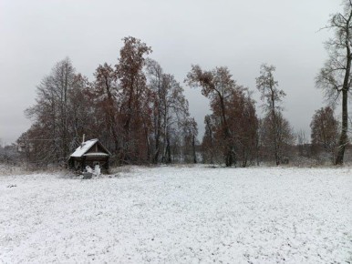 «Липовый сад» хотят возродить в Приволжском районе Ивановской области