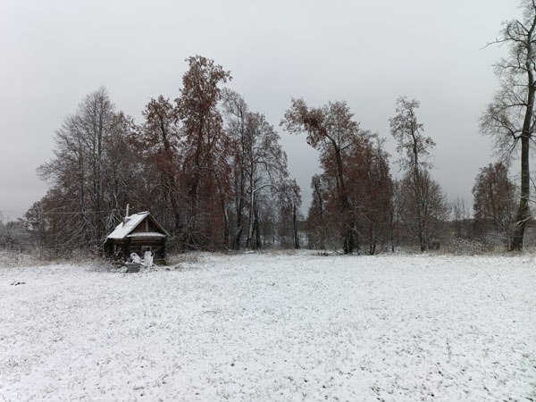 «Липовый сад» хотят возродить в Приволжском районе Ивановской области