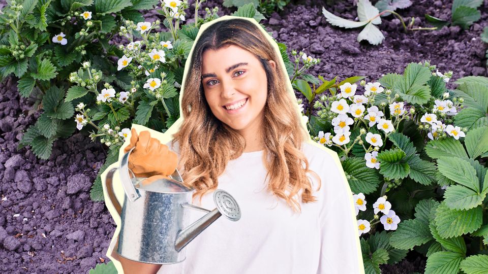 ������� �������� �������� ���� ���������: ������ �������� ������, ��� ������