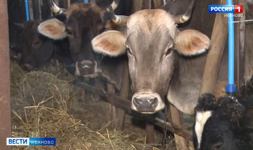 ������ �� ����������� ������ ��������� ��������� ��������� ��������� �������