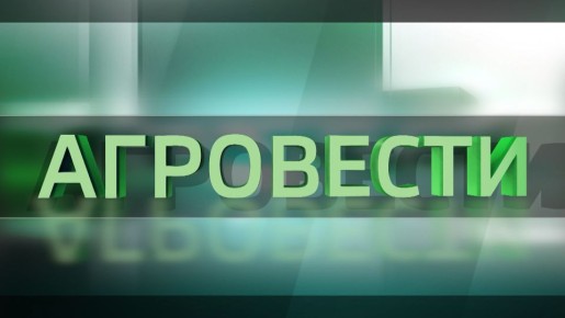 ����� 24 - ���������. ----------