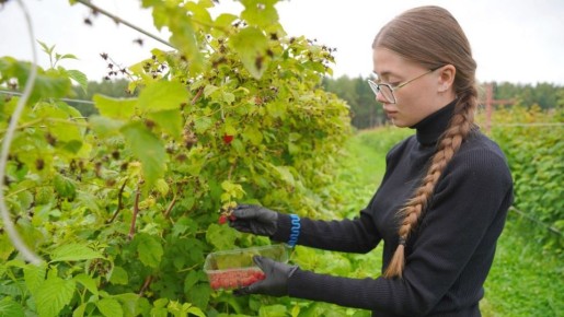 ������������ ���� � ���������� ������� �� ���� ��� ����������� � 28 ���