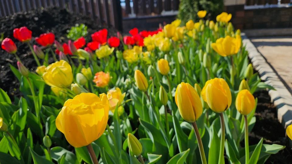 ����� ������ � ������� ���������, ������� ������ �������