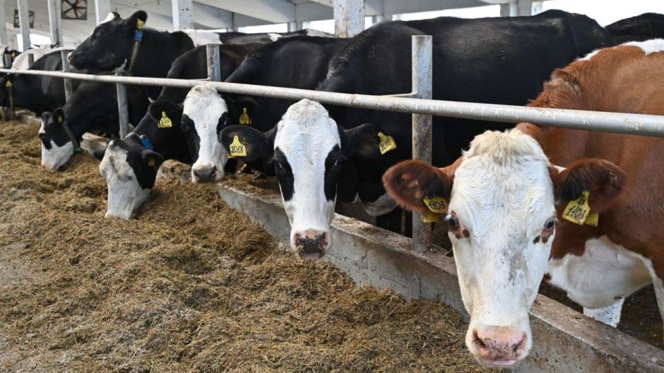 ���������� � �������� ��������� ���������� ������� ������� �� 18%