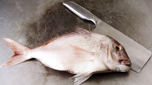 ������ ����� ����� �������� � ���: ������ ��������� � ������� ���� �������