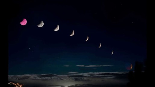 На растущей Луне: что посадить с 31 марта по 12 апреля 2025 года