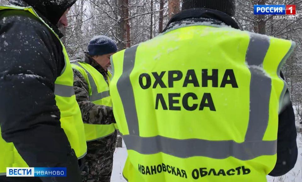 Леса Ивановской области усиленно патрулируют в рамках операции «Елочка»