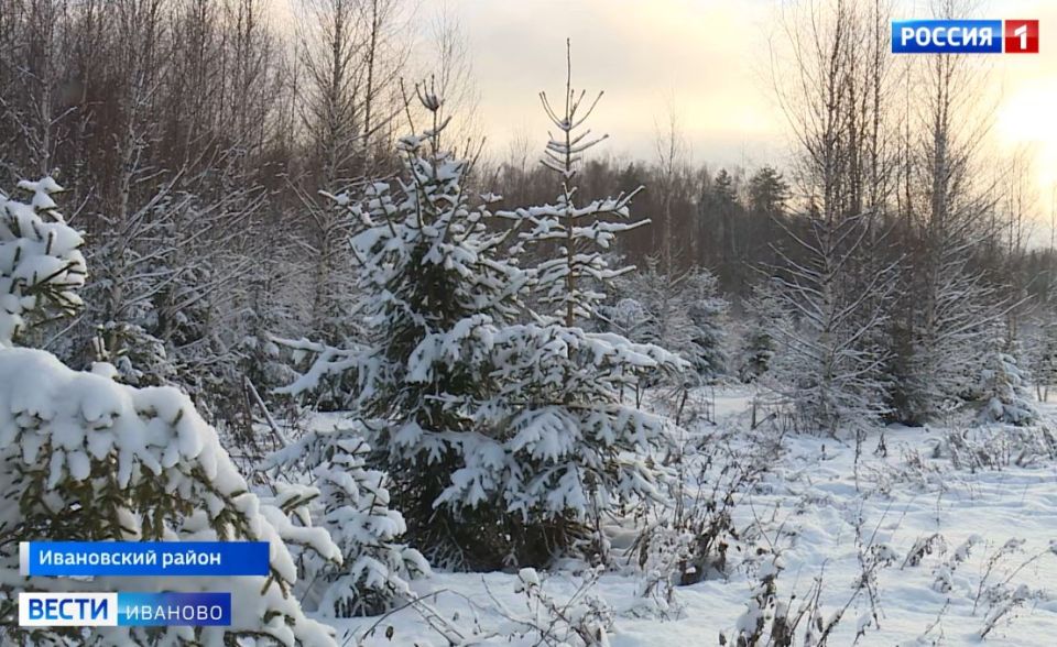 ����� ���� �� ����� ��� � ���������� ������� ����� ������ ������, ��� �� 6 ������