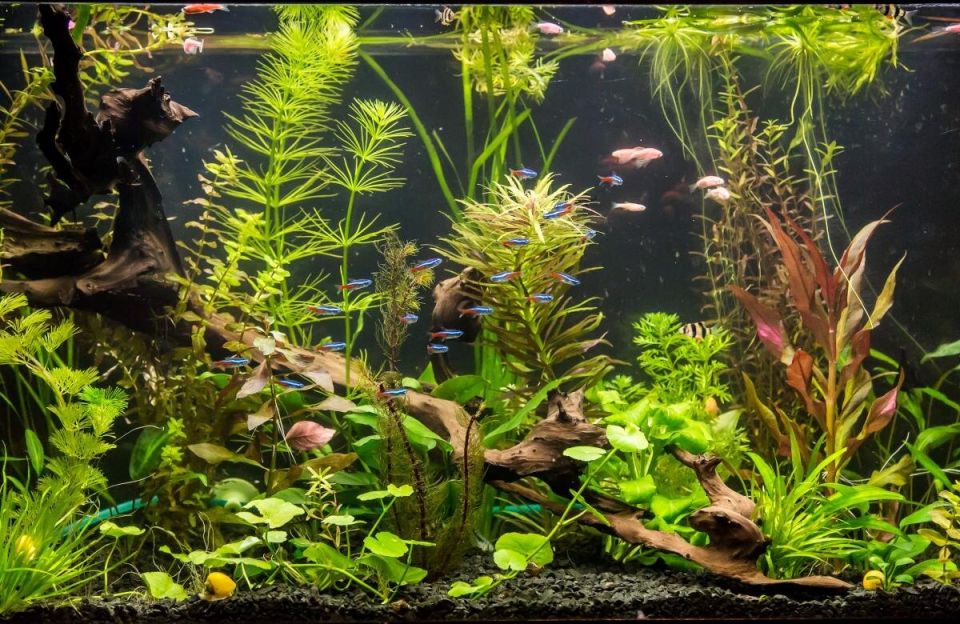 ������� � ������� ������ ���� � ���������