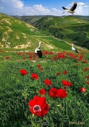 ����� ����������: ��� ��� ����?