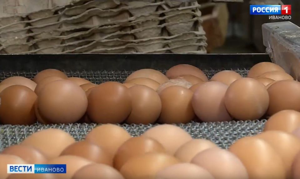 ���������� � �������� ��������� ������� ����� �� 20% � ������ ����