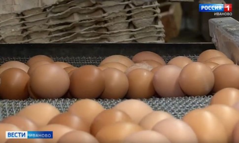 ���������� � �������� ��������� ������� ����� �� 20% � ������ ����