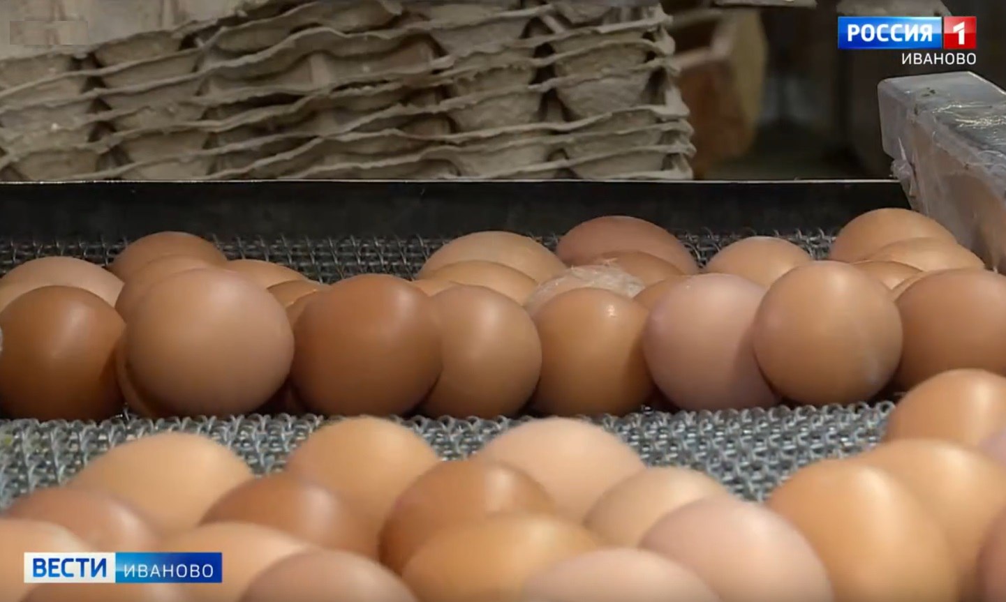 Инвестиции в сельское хозяйство выросли почти на 20% с начала года