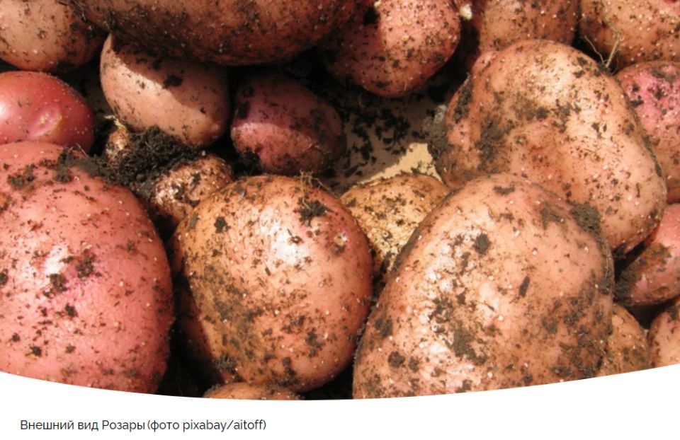 ��� ������� ��������� ��� ������ �������: ��� ������� ����� ������