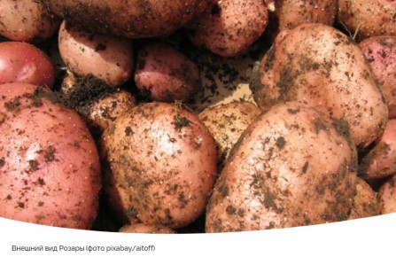 ��� ������� ��������� ��� ������ �������: ��� ������� ����� ������