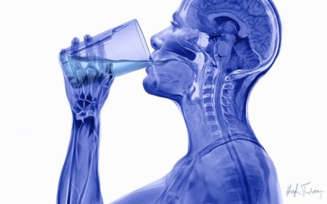 Вода: ключ к здоровью и стройности, который не стоит игнорировать