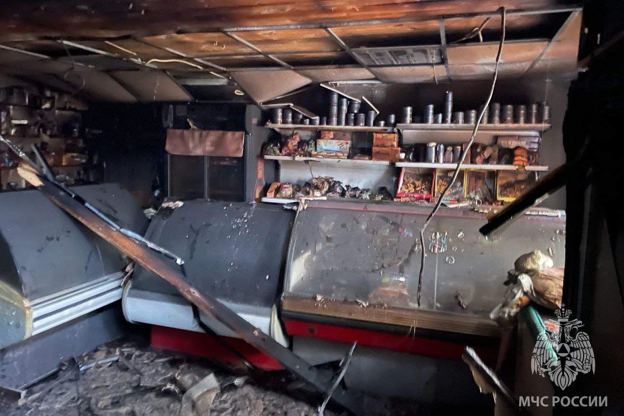 За минувшие сутки пожарно- спасательные подразделения: За минувшие сутки пожарно- спасательные подразделения: