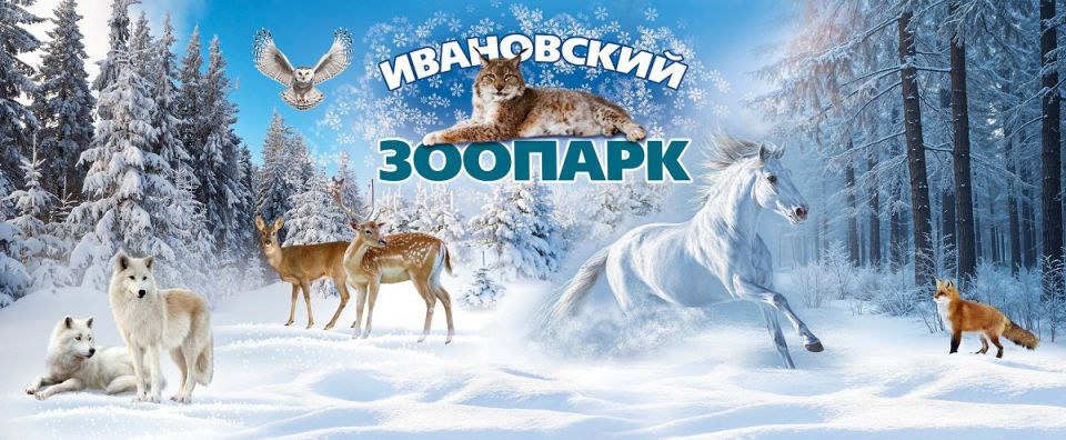 ���������� ������� �������� � ���������� ��������� ��� ��������