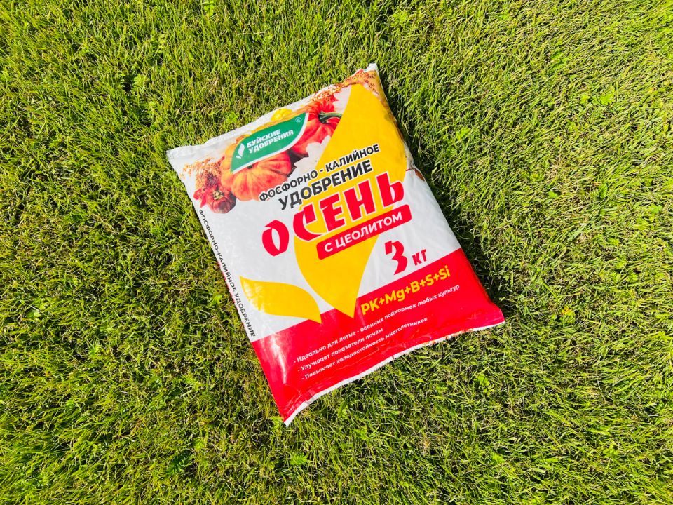 ��� ������� ��������� ������� ���������: ������� ���������