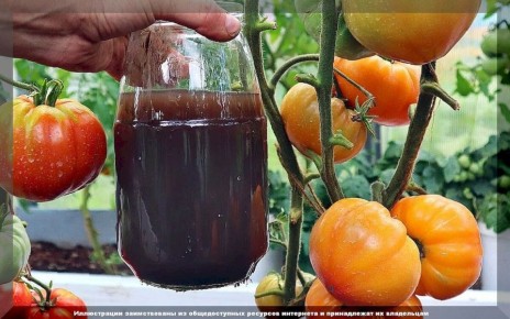 ������ � �������: ��� �������� �� ����������� � ����