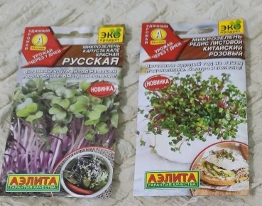 Микрозелень редиса: быстрое решение для домашнего стола