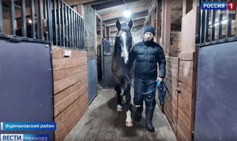 Руководитель конного клуба в Фурмановском районе рассказала что же любит симывол этого года