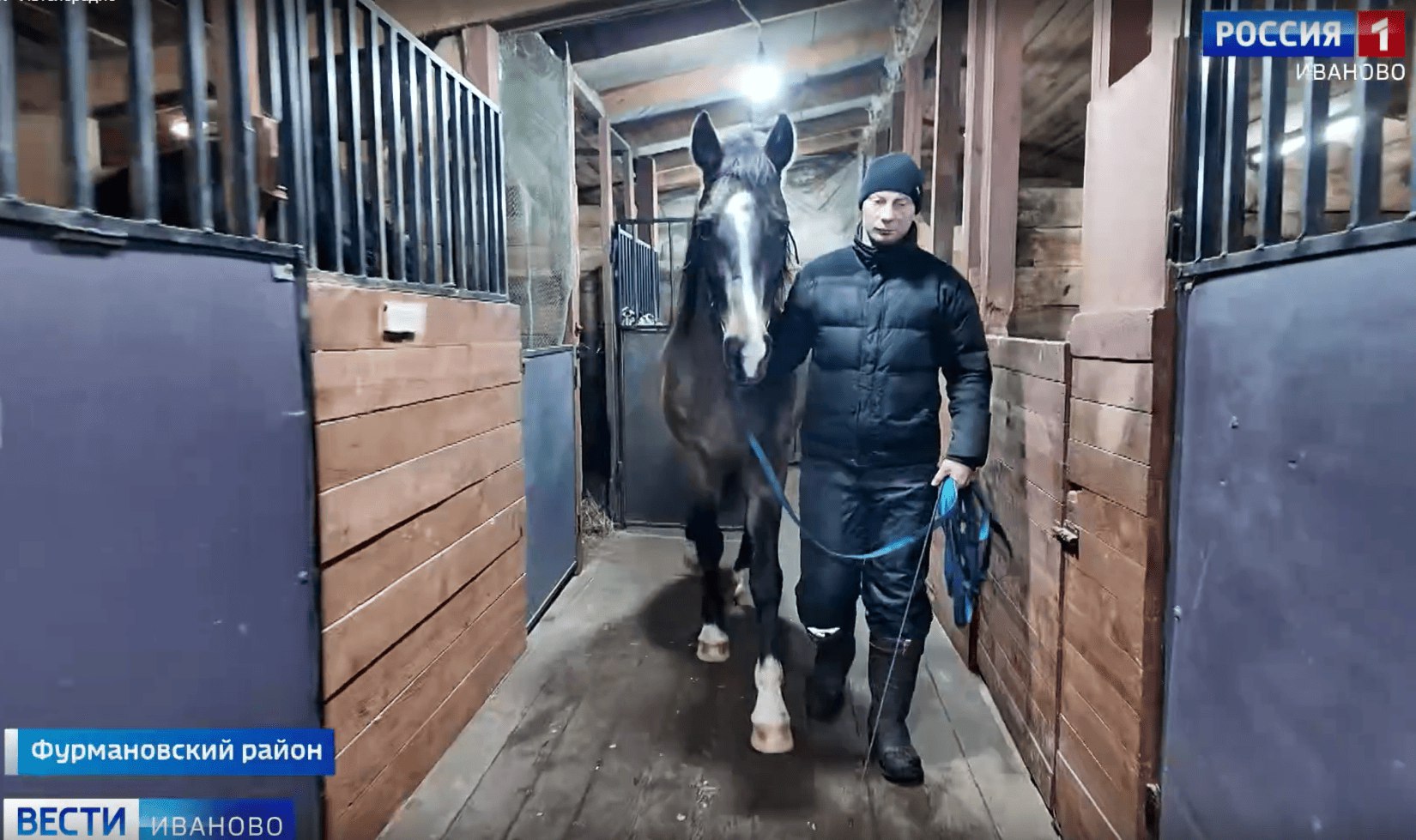 Руководитель конного клуба в Фурмановском районе рассказала что же любит симывол этого года