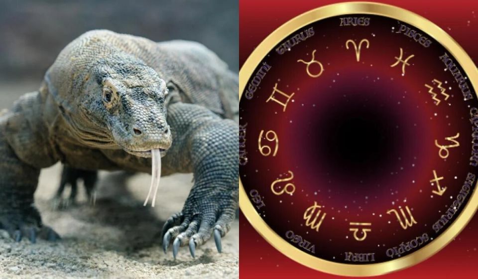 ����� ������� ������������� ������ ����� �������?