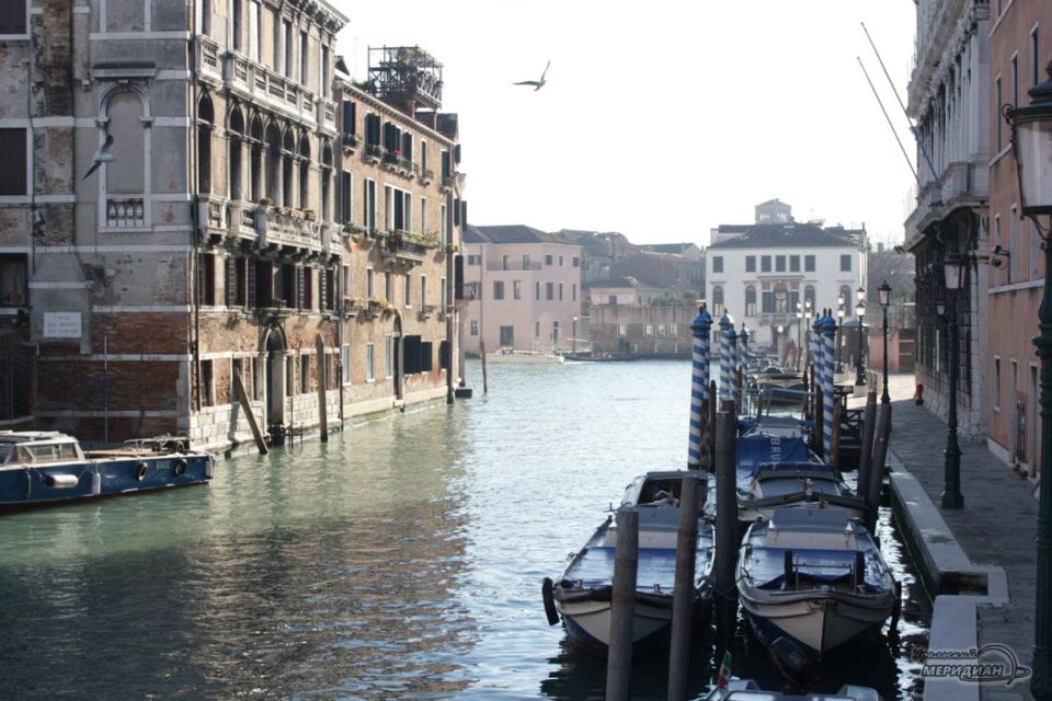 ����� ������������: ������� �� �������� ����� ������ ���� � ���������� ������