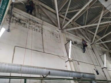 ������ � �������� � ���������� ���� � ������� ������������