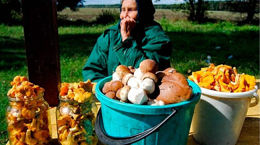 ������ ������� ������ � ��� � ����, ������� �� ����� ������������