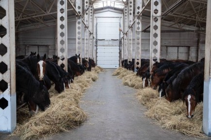 Какие проекты комплексного развития сельских территорий реализуют в Ивановской области в 2026 году?