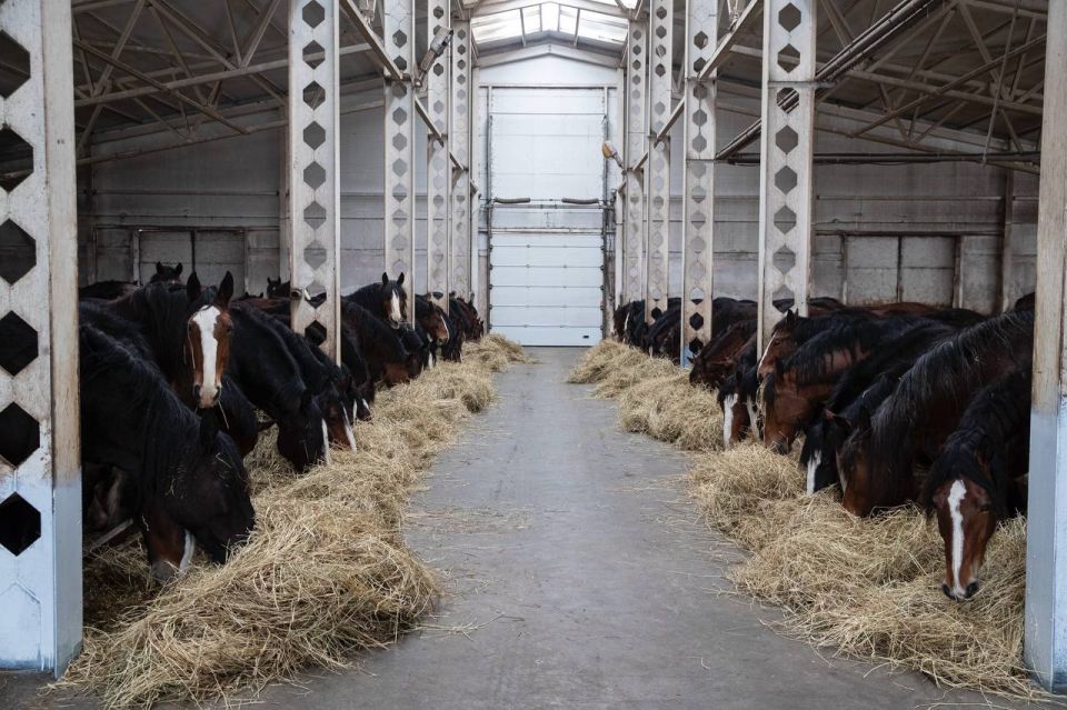 � ������ ��������� ������������ �������� �������� ���������� � ���������� ������� ���������� �������