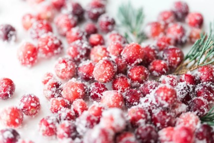 ������ ����������� �� �������: ������� �� 80-�, ������� �������� ��� ����������