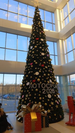 ������� ����� �����: ����� �������� � ������ ��� �������