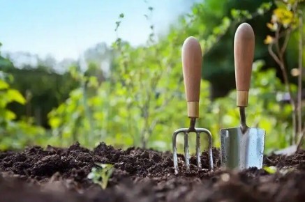 ������ ������������� ������ � ������ ���� ����� �������