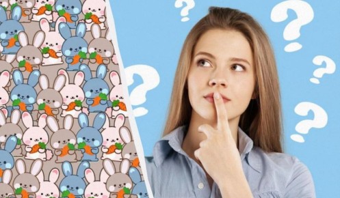 ��� �������� � ���� ������? ������� ���� �� 7 ������!