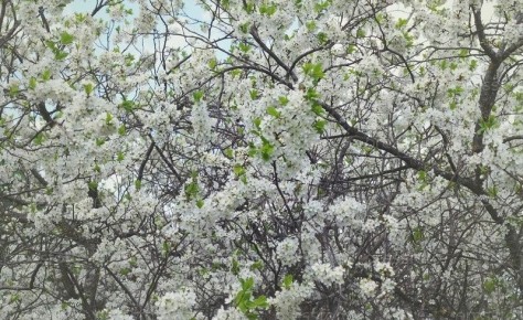 ����� ��������� ����: ������ ����� �� ������������ � �����