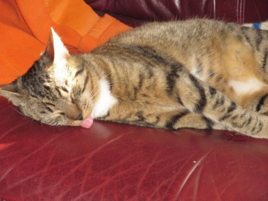 ��� ������ � ������ ����� �������� ����: �� ��� ����� ������ ������� � ��������